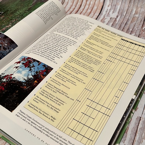 The Exuberant Garden and the Controlling Hand - Picture 9 of 16